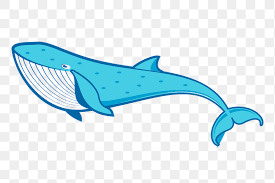 Blue whale