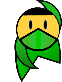 green ninja ready stance